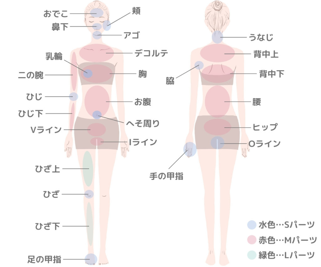 部分脱毛Sパーツ・Mパーツ・Lパーツ