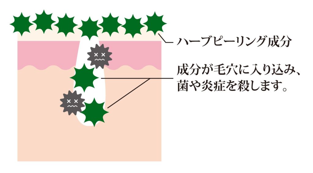 ハーブのデトックス