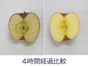 左:何もしていない状態のリンゴ 右:天然植物エキスで美白コーティングした状態のリンゴ